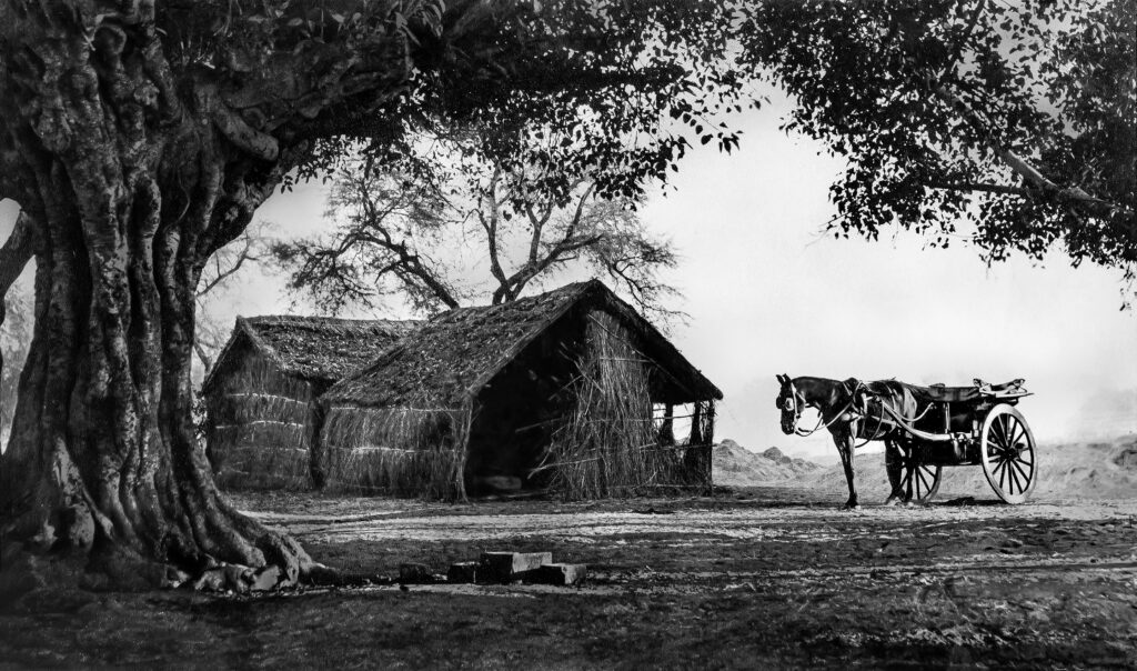 Weary of the past — Dr. D. V. Rao archive